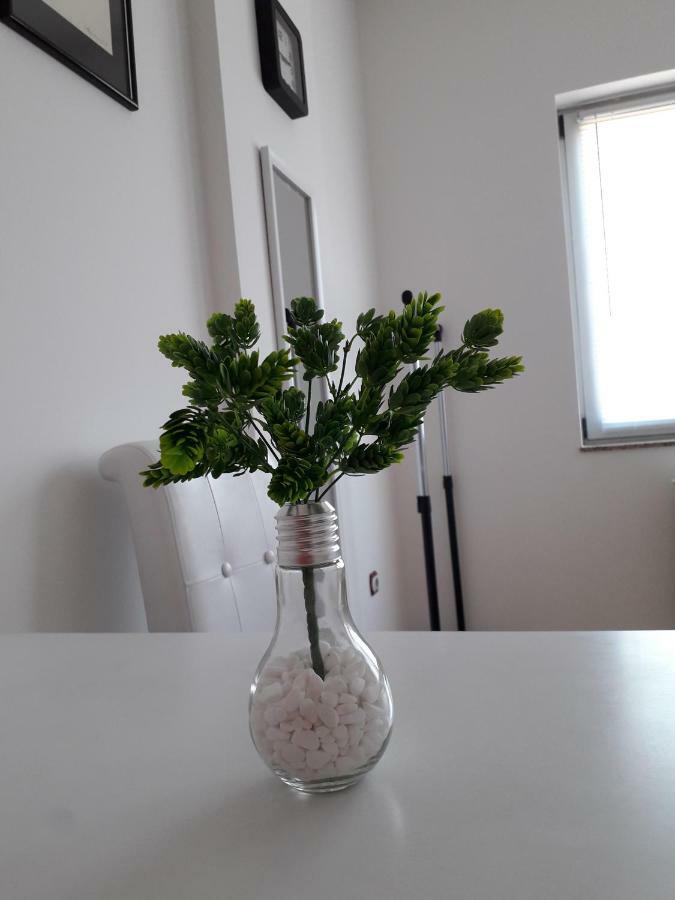 Apartman Dunja Ns 2 Novi Sad Exterior photo